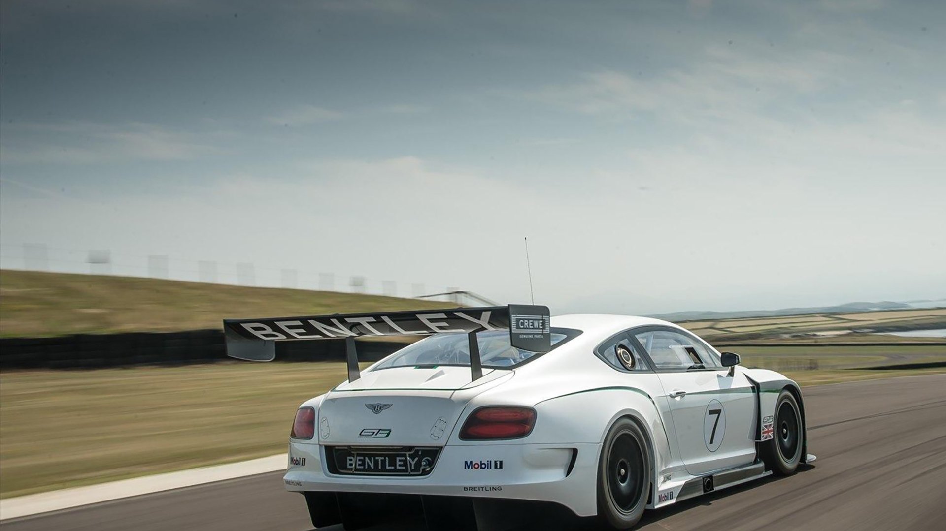 体育服务机器人亮相大型综合赛事现场，全国体育机器人联盟