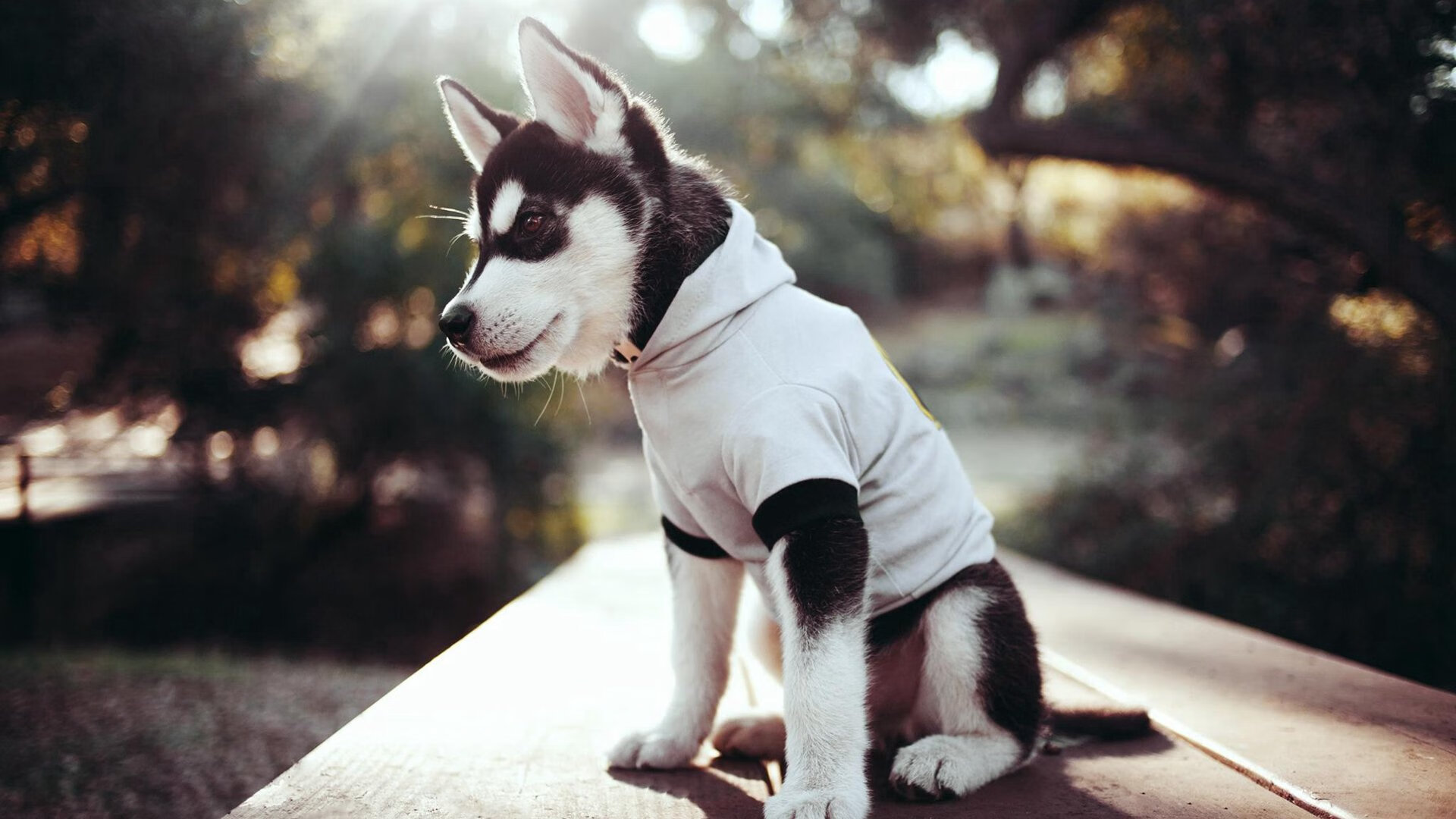 中国足球场地普及率提升公共足球资源持续优化，我国足球场数量