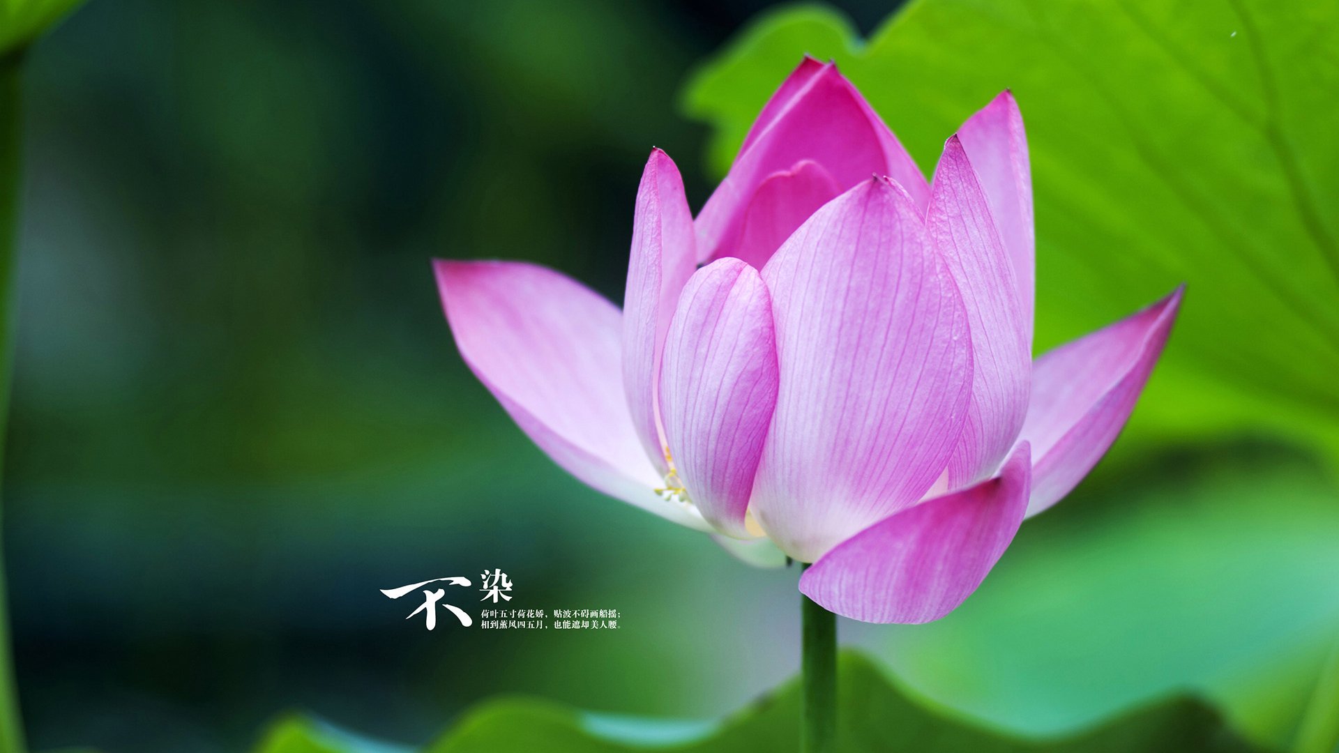 中国足球联赛赛事宣传活动形式多样，足球联赛宣传海报手绘图片